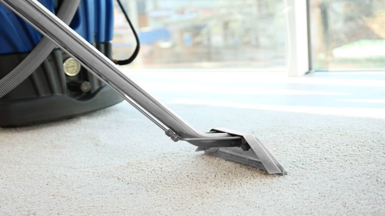 When Is The Best Time To Get Your Carpet Cleaned?