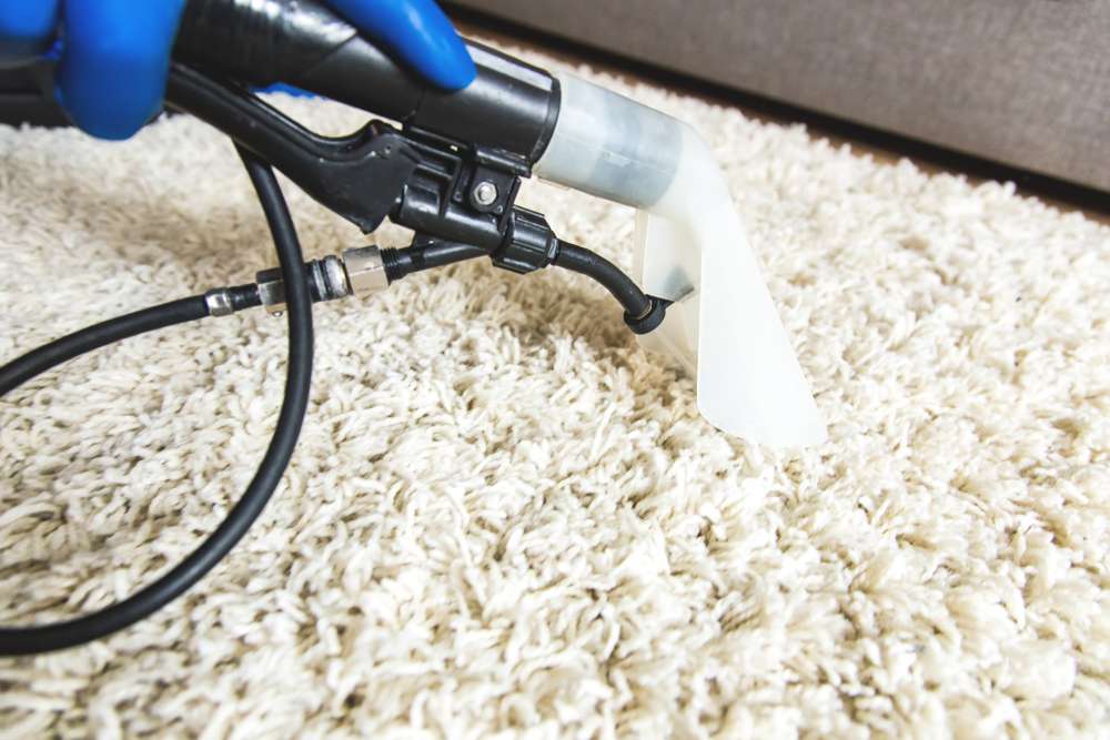 carpet cleaning Encinitas ca