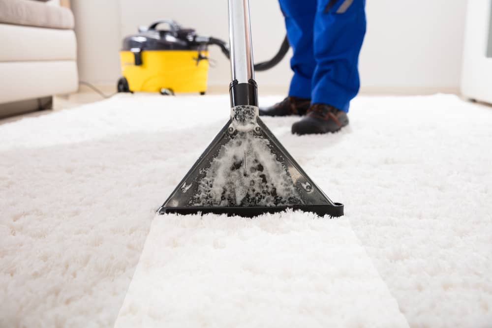 Carpet cleaning carlsbad