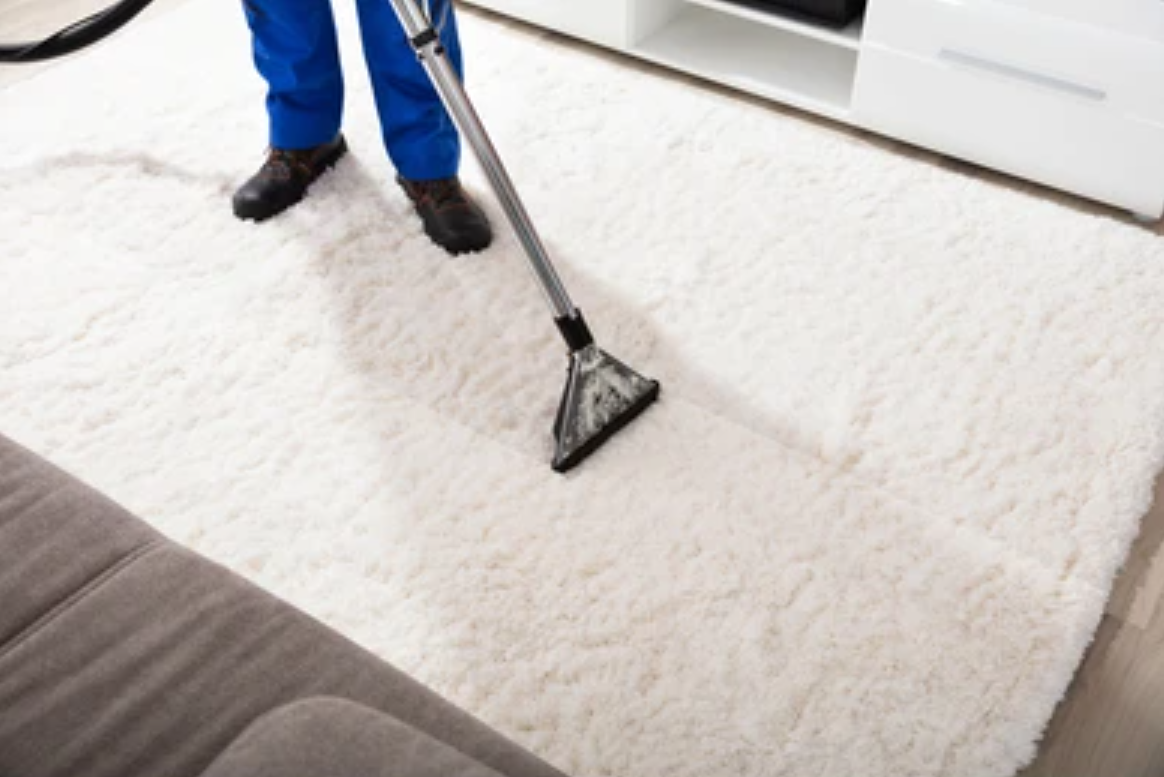 carpet cleaning guide